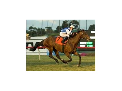 Boboman completes comeback by winning the Hollywood Turf Cup Handicap.