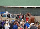 Derby is Baffert's Show Again Derby is Baffert's Show Again