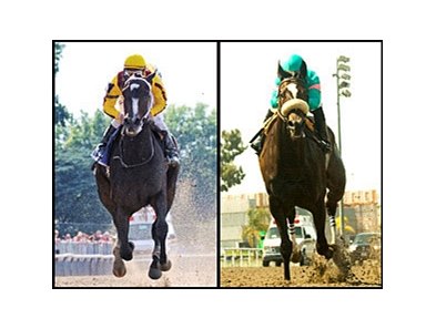 Rachel Alexandra and Zenyatta