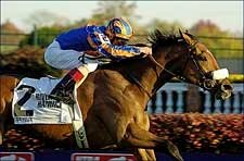 Bayeux Battles to River City Win in U.S. Debut Bayeux Battles to River City Win in U.S. Debut