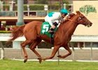 Daytona kicks clear in upper stretch for easy Oak Tree Derby (gr. IIT) win.<br><a target="blank" href="http://www.bloodhorse.com/horse-racing/photo-store?ref=http%3A%2F%2Fpictopia.com%2Fperl%2Fgal%3Fprovider_id%3D368%26ptp_photo_id%3D2510271%26ref%3Dstory">Order This Photo</a>