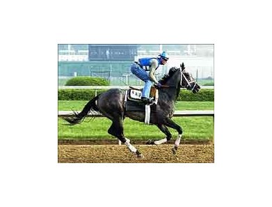 Kentucky Oaks hopeful Wait a While works a half-mile at Churchill Saturday morning.