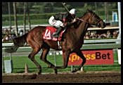 Santa Anita Race Report: Well Brewed Santa Anita Race Report: Well Brewed