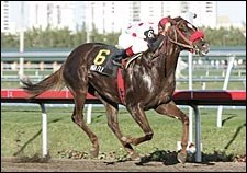 Kentucky Derby Trail: High Fly Can Fly High Again Kentucky Derby Trail: High Fly Can Fly High Again