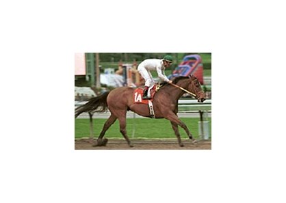 Kona Gold, ridden by Alex Solis, coasts home to win the Grade I $150,000 San Carlos Handicap on Sunday, at Santa Anita Park.