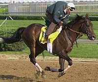 Anees Retired to Mill Ridge; Fee $15,000 Anees Retired to Mill Ridge; Fee $15,000