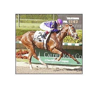 Flamenco, winning Calder's Jack Price Juvenile.