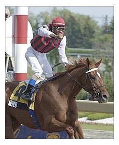 Wando dominated over Queen's Plate field.