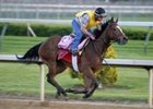 High Heels looks to rebound after a ninth place finish in the Spinster (gr.I) at Keeneland.