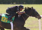 Scat Daddy Colt Works Eighth in :9 4/5 at OBS Scat Daddy Colt Works Eighth in :9 4/5 at OBS