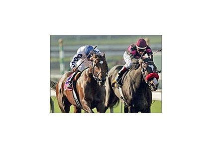Cozy Guy, left, hangs on to beat Lava Man and win the California Cup Classic, Saturday at Santa Anita.