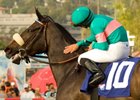 Zenyatta Gets a Free Ride to the Donn Zenyatta Gets a Free Ride to the Donn