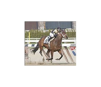 Cyber Secret pulls an upset in the Comely, Friday at Aqueduct.