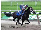 Charitable Man working at Belmont.