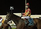 Texas Mile winner Texas Air