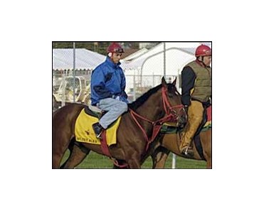 By all accounts, Afleet Alex feels right at home at Churchill Downs.