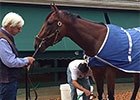 Preakness: American Pharoah Morning After Preakness: American Pharoah Morning After