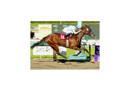 Sweet Catomine and David Flores win the Santa Ysabel Stakes, Sunday at Santa Anita.