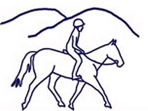 Rescue Effort Seeks Help for 46 Horses Rescue Effort Seeks Help for 46 Horses