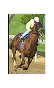 Point Given lived up to his Kentucky Derby favoritism with a fast workout Monday.