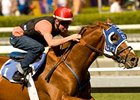 Whether the pace is fast or slow, Summer Bird will adapt to it.<br><a target="blank" href="http://www.bloodhorse.com/horse-racing/photo-store?ref=http%3A%2F%2Fpictopia.com%2Fperl%2Fgal%3Fprovider_id%3D368%26ptp_photo_id%3D8576431%26ref%3Dstory">Order This Photo</a>