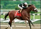 Coolmore Team Pledges 10 Percent of Earnings To NTRA Relief Fund Coolmore Team Pledges 10 Percent of Earnings To NTRA Relief Fund