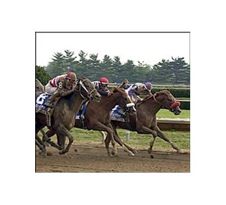 Runaway Model (8) wins Alcibades with last-second surge along the outside.
