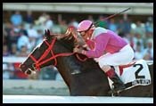 Four Grade I Winners To Clash in Gulfstream Park Handicap Four Grade I Winners To Clash in Gulfstream Park Handicap