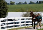 Keeneland Saturday: Gross Down 35.4% Keeneland Saturday: Gross Down 35.4%