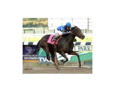 Sutra surpises with Frizette win.<br><a target="blank" href="http://www.bloodhorse.com/horse-racing/photo-store?ref=http%3A%2F%2Fpictopia.com%2Fperl%2Fgal%3Fgallery_id%3D6823%26process%3Dgallery%26provider_id%3D368%26ptp_photo_id%3D599479%26sequencenum%3D%26page%3D">Order This Photo</a>