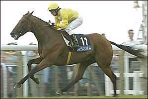 Mr Dinos Romps to Victory in Gold Cup Mr Dinos Romps to Victory in Gold Cup