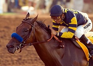 Behaving Badly's First Foal Behaving Badly's First Foal