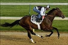 Sharp Humor Works Mile for Romans Sharp Humor Works Mile for Romans
