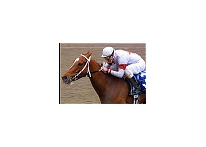 Unbeaten Lady Tak wins the Fair Grounds Oaks on Saturday.