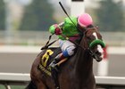 No Sure Favorite in Woodbine's Royal North Stakes No Sure Favorite in Woodbine's Royal North Stakes