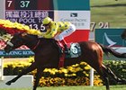 Locals Dominate Hong Kong International Races Locals Dominate Hong Kong International Races