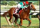 Cashier's Dream, winning the Spinaway.