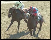 Sunday Break's Turf Debut Set in Arcadia Sunday Break's Turf Debut Set in Arcadia