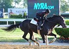 Honor Code
<br><a target="blank" href="http://photos.bloodhorse.com/AtTheRaces-1/At-the-Races-2015/i-DbTkNCL">Order This Photo</a>