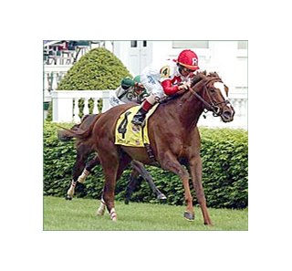 Crown Royal American Turf winners Kitten's Joy and Jerry Bailey team again for Saturday's Secretariat Stakes.