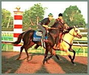 War Emblem Draws Post 6 in Haskell; 9 Entered War Emblem Draws Post 6 in Haskell; 9 Entered