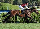 Marlang's last win came in the 2008 Saranac at Saratoga.<br><a target="blank" href="http://www.bloodhorse.com/horse-racing/photo-store?ref=http%3A%2F%2Fpictopia.com%2Fperl%2Fgal%3Fprovider_id%3D368%26ptp_photo_id%3D5739242%26ref%3Dstory">Order This Photo</a>