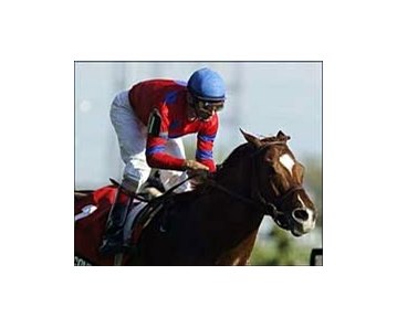 Jockey John Velazquez wins the Atto Mile aboard Leroidesanimaux, Sunday at Woodbine.