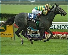 Senor Swinger Swallows Stroll in Belmont BC Senor Swinger Swallows Stroll in Belmont BC