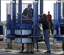 Routine Day for Smarty Jones Includes Schooling in the Gate Routine Day for Smarty Jones Includes Schooling in the Gate