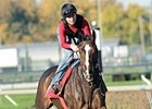 Keertana works on the grass at Churchill Downs.
<br><a target="blank" href="http://www.bloodhorse.com/horse-racing/photo-store?ref=http%3A%2F%2Fpictopia.com%2Fperl%2Fgal%3Fprovider_id%3D368%26ptp_photo_id%3D9259697%26ref%3Dstory">Order This Photo</a>