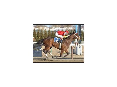 Affirmed Success chases history in Saturday's Carter Handicap.