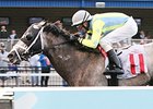 Cyclogenisis won the Tom Ridge Stakes at Presque Isle Downs earlier this year