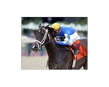 Ashado, here winning the Cotillion in her last start, joins Storm Flag Flying at front of the Distaff class.