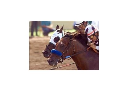 Cindago wins the El Cajon.